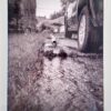 Anna van Schaap - Under Water; 2021 Citywide Flood (2 of 7)