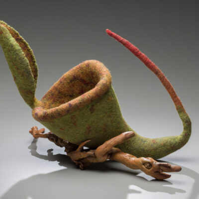 susan aaron taylor endangered attenborough's pitcher plant
