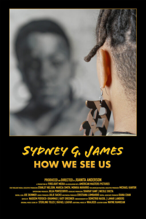 juanita anderson sydney g. james: how we see us (film poster)