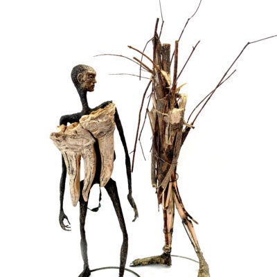 ann smith earth codex