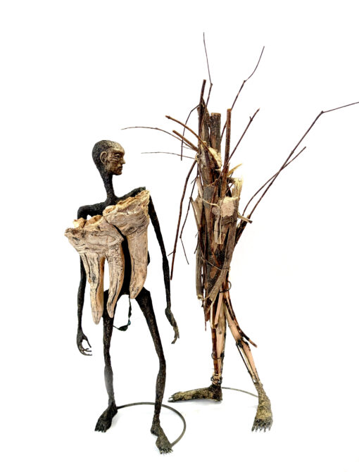 ann smith earth codex