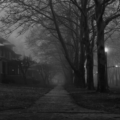 shekennia mann detroit fall #2