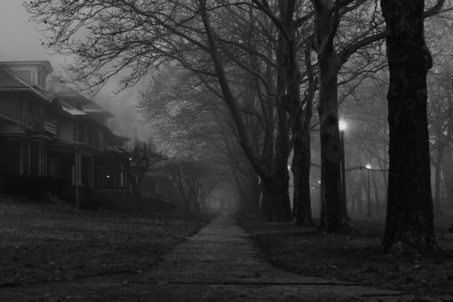 shekennia mann detroit fall #2