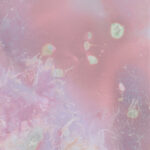 lumen