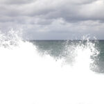 paintedwaves